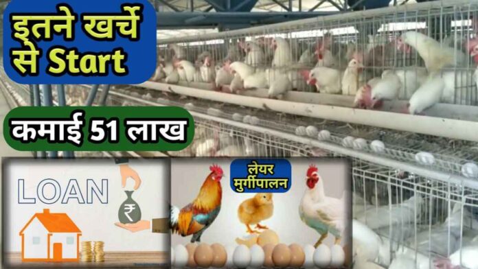 लेयर मुर्गी पालन की जानकारी, Murgi Farm | Layer Poultry Farming In Hindi