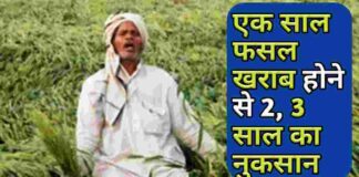 फसल खराब होने पर 2 से 3 साल तक नुकसान | Barish Ki Samasya Se Fasal Nuksan