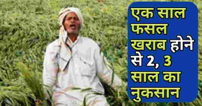 फसल खराब होने पर 2 से 3 साल तक नुकसान | Barish Ki Samasya Se Fasal Nuksan