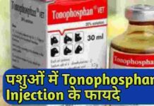 पशुओ मे Tonophosphan Injection के इतने सारे फायदे