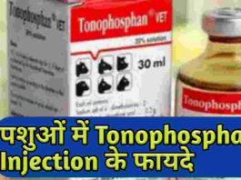 पशुओ मे Tonophosphan Injection के इतने सारे फायदे