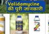 Validamycin Uses In Hindi, Price, Technical, Antibiotic, Mode Of Action