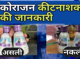 Coragen Insecticide Use Hindi Technical Name