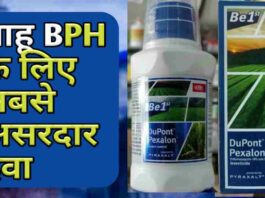 Dupont Pexalon Insecticide Uses Hindi Bph Price