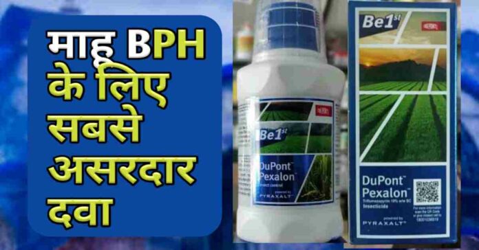 Dupont Pexalon Insecticide Uses Hindi Bph Price