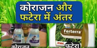 Coragen Vs Fatera Insecticide Uses Hindi
