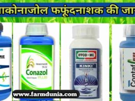 हेक्साकोनाजोल Fungicide के उपयोग एवं फायदे Hexaconazole Uses hindi
