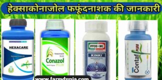 हेक्साकोनाजोल Fungicide के उपयोग एवं फायदे Hexaconazole Uses hindi